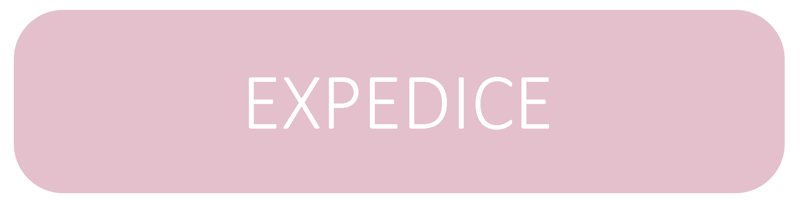 Expedice